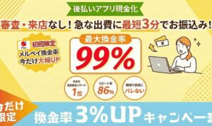 クイックマネープラス